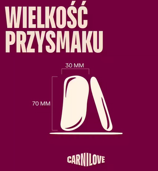 Carnilove Dog Jerky Lamb & Salmon - jagnięcina i łosoś 100g
