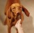 Carnilove Dog Jerky Beef Fillet - wołowina filet 100g