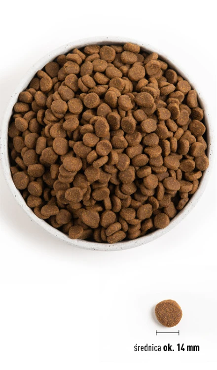 Orijen Original Dog 11,4kg