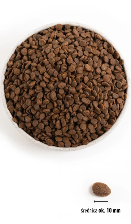Orijen Regional Red Cat 340g