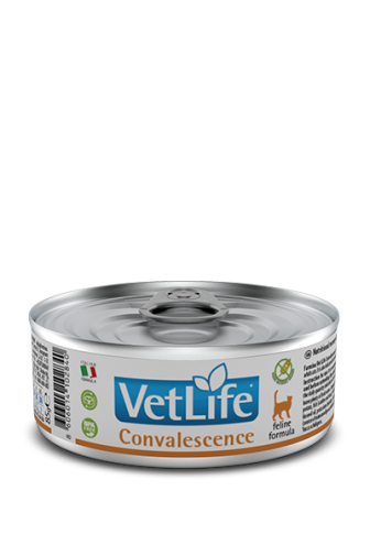 Farmina Vet Life Feline Convalescence 85g
