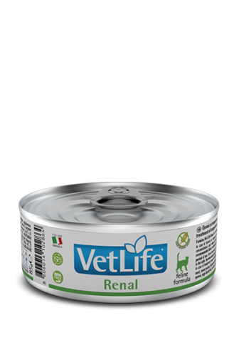 Farmina Vet Life Feline Renal 85g